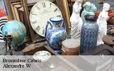 Brocanteur  06530