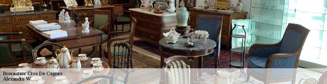 Brocanteur  cros-de-cagnes-06800 Alexandre W 