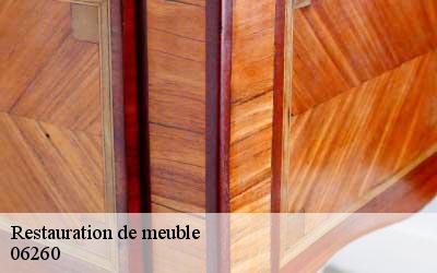 Restauration de meuble  06260