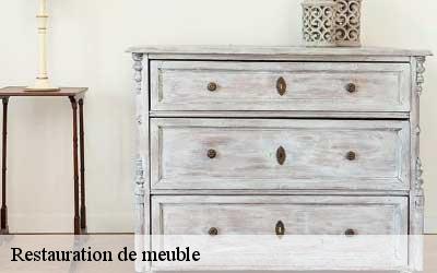 Restauration de meuble  06810